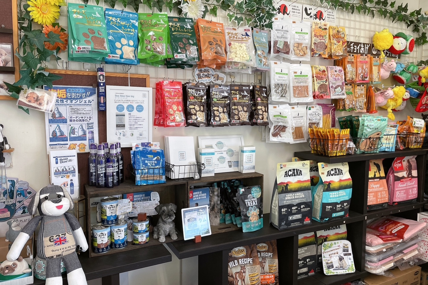 ご飯を待っている犬